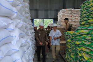 eba1aedd-a216-4470-80ce-22f7403c622c